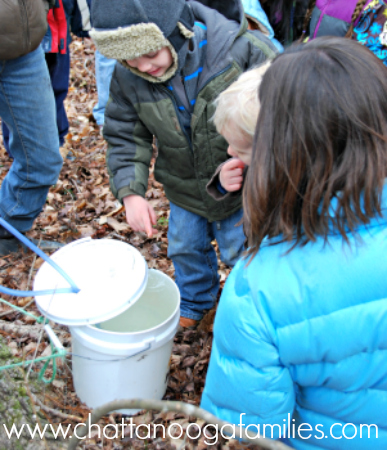 Hidden Hills Farm Play Days in Ooltewah, TN