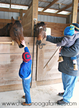 Hidden Hills Farm & Saddle Club Farm Play Days in Ooltewah, TN; a review from http://www.chattanoogafamilies.com